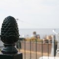 IMG_768481