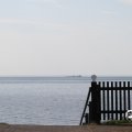 IMG_768483
