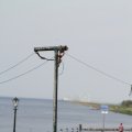 IMG_768486