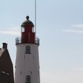 IMG_768497