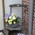 IMG_768508