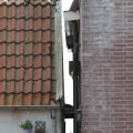 IMG_768510