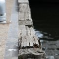 IMG_768514