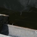IMG_768517
