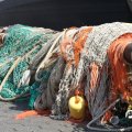 IMG_768520