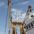 IMG_768525