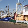 IMG_768526