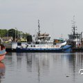 IMG_768531