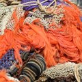 IMG_768535