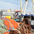 IMG_768539