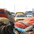 IMG_768542