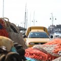 IMG_768543