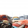 IMG_768544