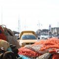 IMG_768545