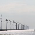IMG_768547