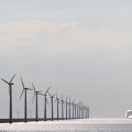 IMG_768548