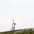 IMG_768551