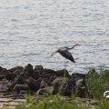 IMG_768573