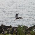 IMG_768574