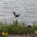 IMG_768576