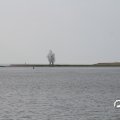 IMG_768583