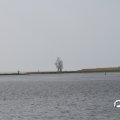 IMG_768585