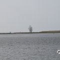 IMG_768586