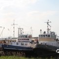 IMG_768588