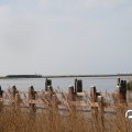 IMG_768591