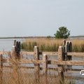 IMG_768592