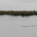 IMG_768610