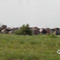 IMG_768611