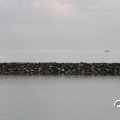 IMG_768616