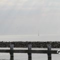 IMG_768617