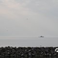 IMG_768621