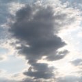IMG_768624