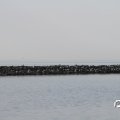 IMG_768627