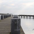 IMG_768631