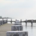 IMG_768632