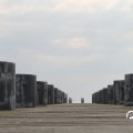 IMG_768633