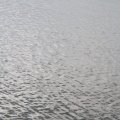 IMG_768643