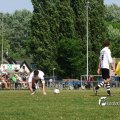 00815E2011