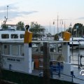 IMG_3274