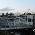 IMG_3278