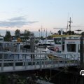 IMG_3279