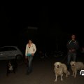 IMG_770363