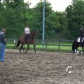 IMG_770376