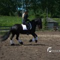 IMG_770403