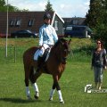 IMG_770435