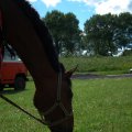 IMG_770573
